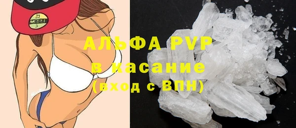 индика Снежногорск
