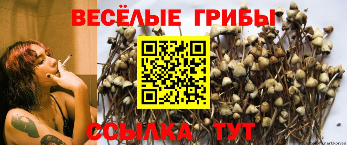 закладка  Галлюциногенные грибы мухоморы  Галлюциногенные грибы ЛСД  Вход с VPN  Саранск 