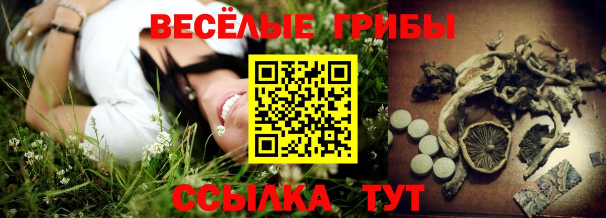 Псилоцибиновые грибы мухоморы Саранск